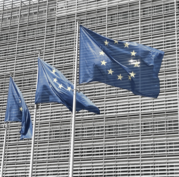 EU flags
